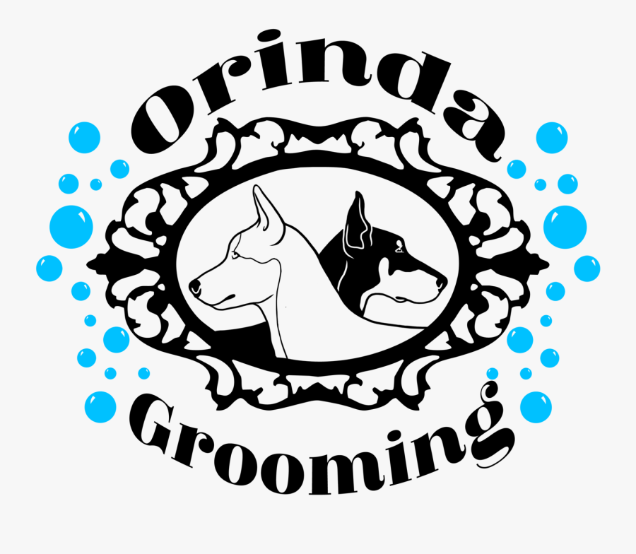 Circle, Transparent Clipart