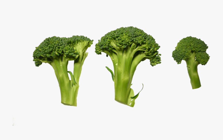 Broccoli Cutting Png, Transparent Clipart