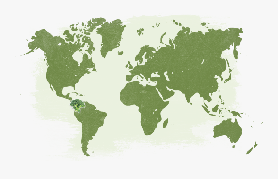 Map Organic Pesticide Free Broccoli Florets Naturetouch - World Map Blue And White, Transparent Clipart