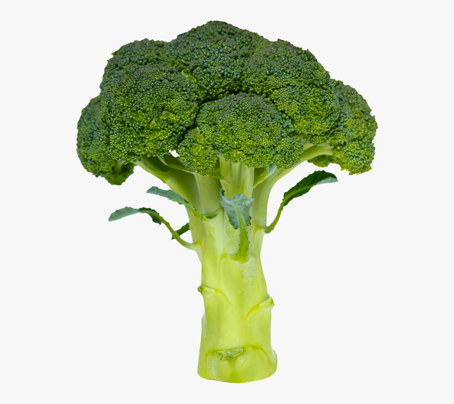 Broccoli Simple Or Complex Carbohydrate - Potato Cancer, Transparent Clipart