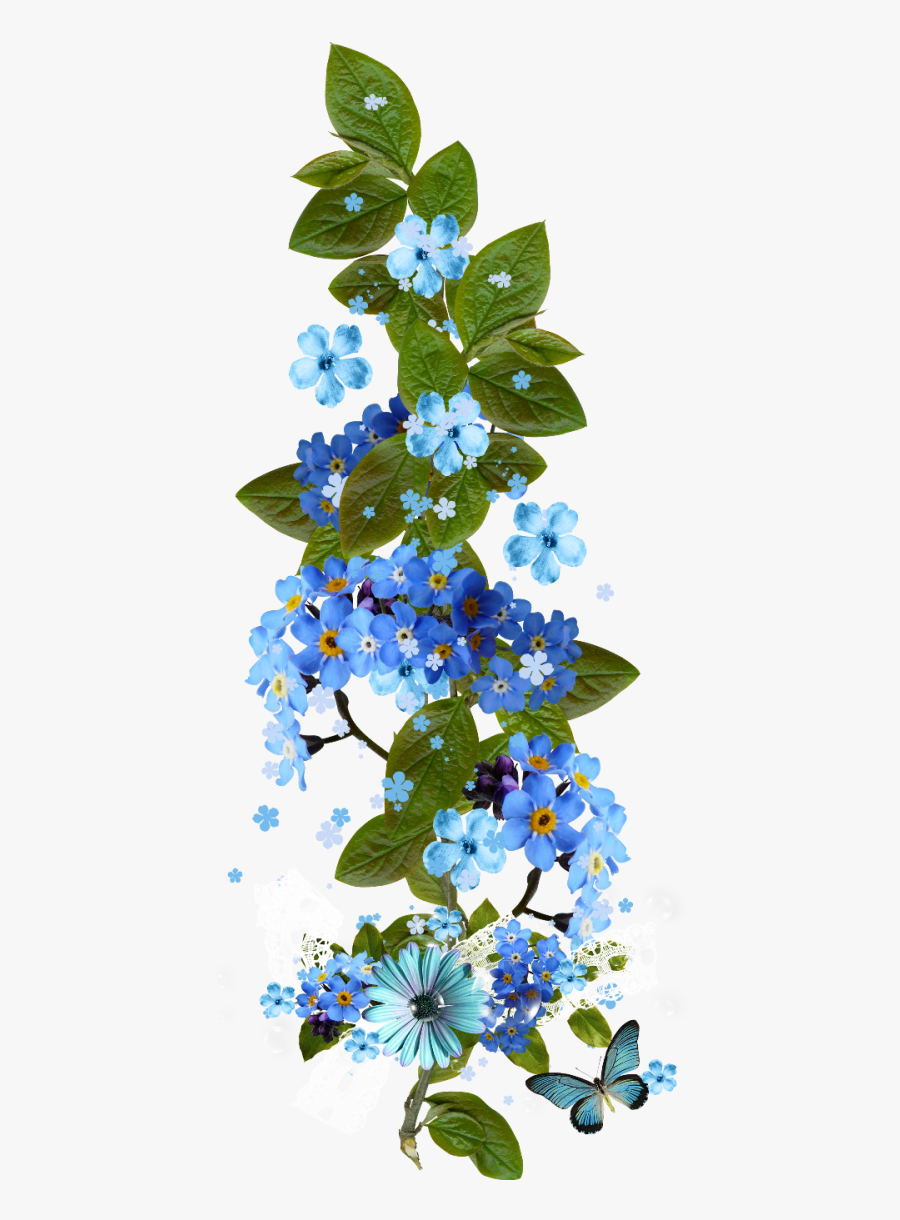 Рамочка Для Текста Незабудки, Transparent Clipart