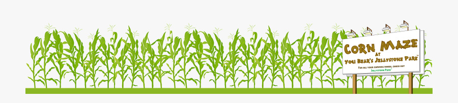 Grass, Transparent Clipart