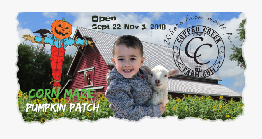 Boy, Transparent Clipart