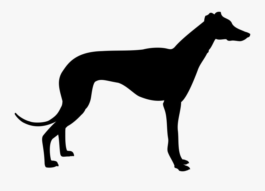 Greyhound Silhouette Clip Art - Greyhound Silhouette, Transparent Clipart