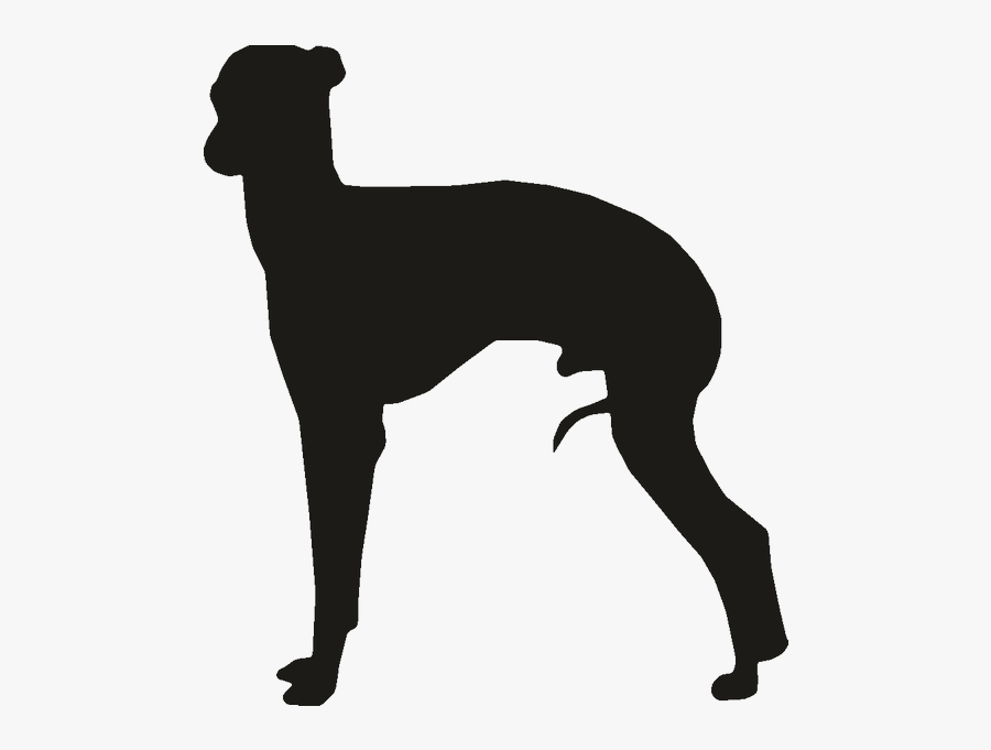 Whippet Italian Greyhound Ibizan Hound Clip Art - Italian Greyhound Silhouette, Transparent Clipart