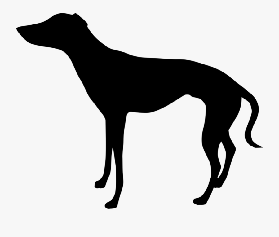 Italian Greyhound Whippet Clip Art Silhouette - Horse Side View Silhouette, Transparent Clipart