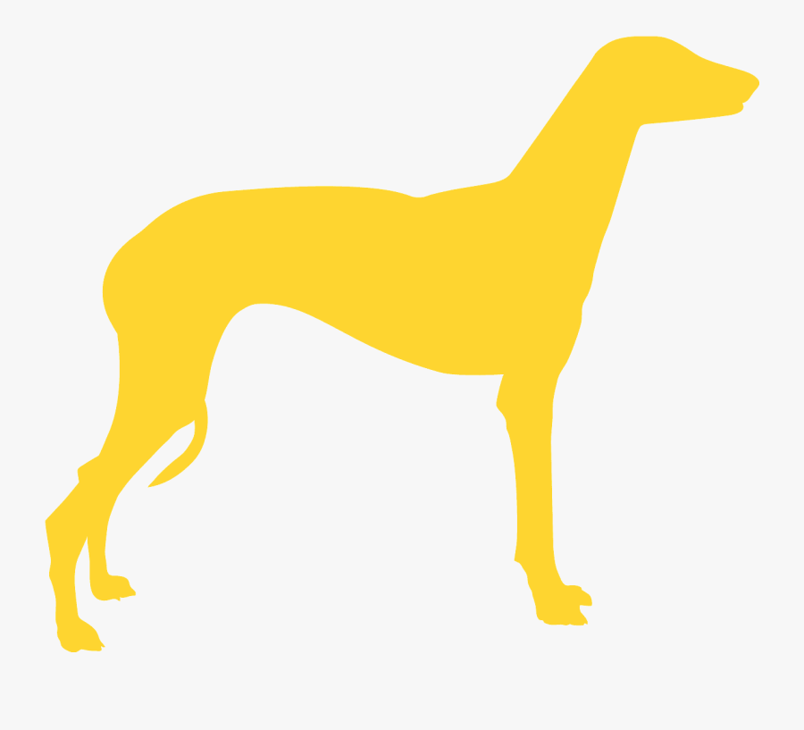 Rampur Greyhound, Transparent Clipart