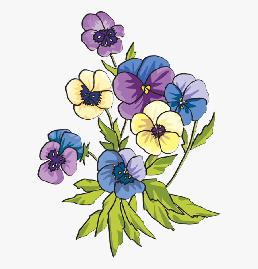 Pansy Clip Art, Transparent Clipart