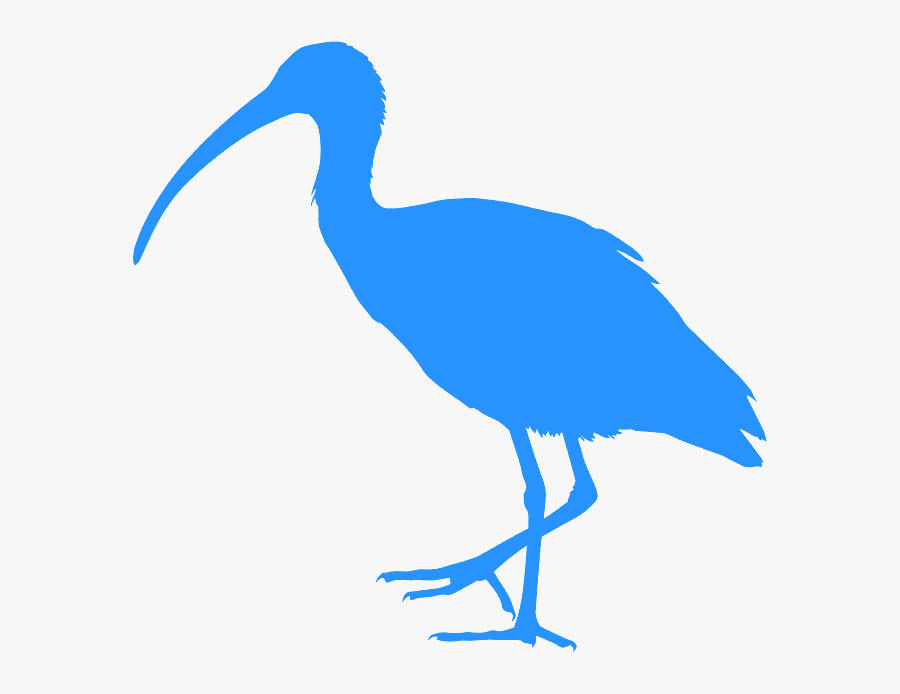 Ibis Silhouette, Transparent Clipart