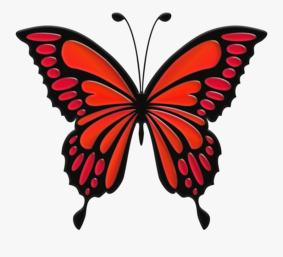 Download Clipart Photo Toppng - Transparent Background Butterfly Clipart, Transparent Clipart