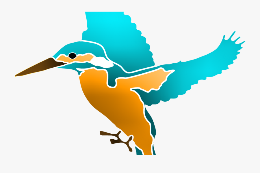 Coraciiformes, Transparent Clipart