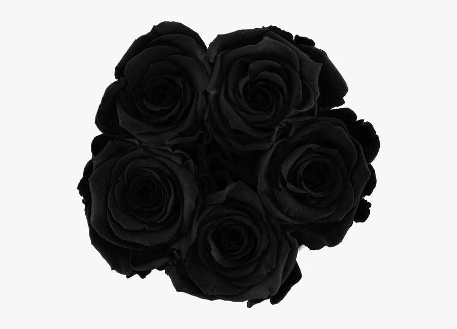 Transparent Black Roses Png - Black Roses Transparent, Transparent Clipart