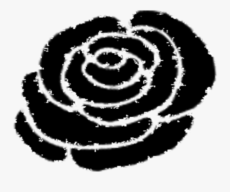Plant,flower,rose Order, Transparent Clipart
