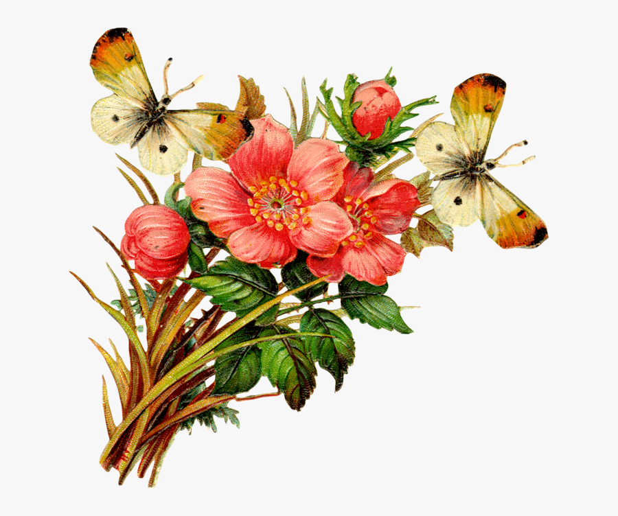 Sending You Love And Strength, Transparent Clipart