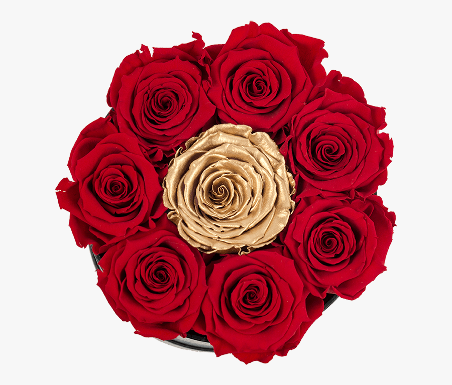 Clip Art Black Rose Bouquet - Garden Roses, Transparent Clipart
