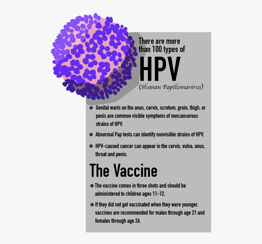 Infographic By Owen Thomas - Hpv And Genital Warts Infographic, Transparent Clipart