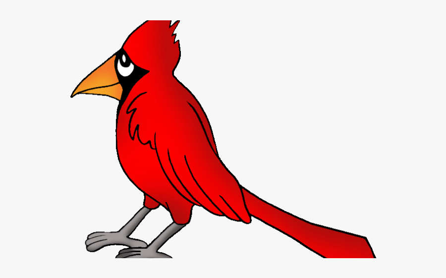 Cardinal Clip Art, Transparent Clipart