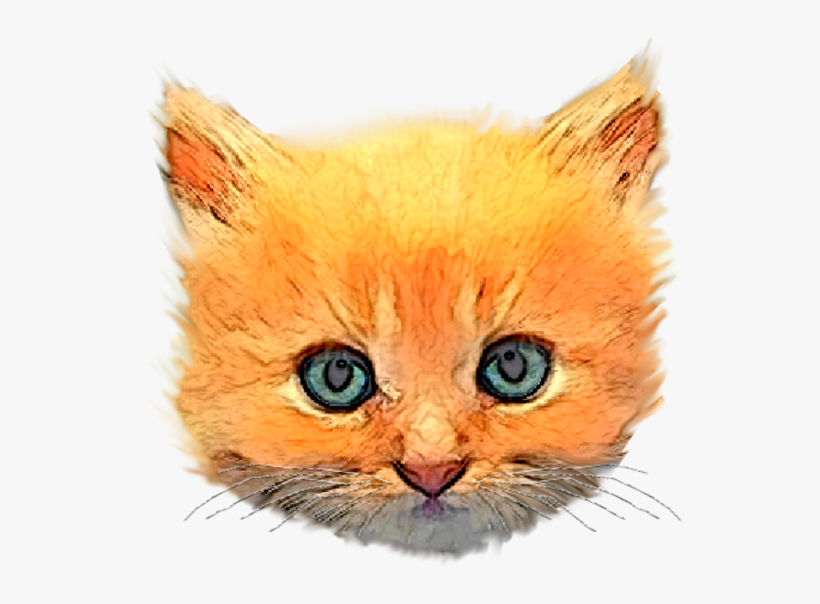 Kitten Head Png, Transparent Clipart