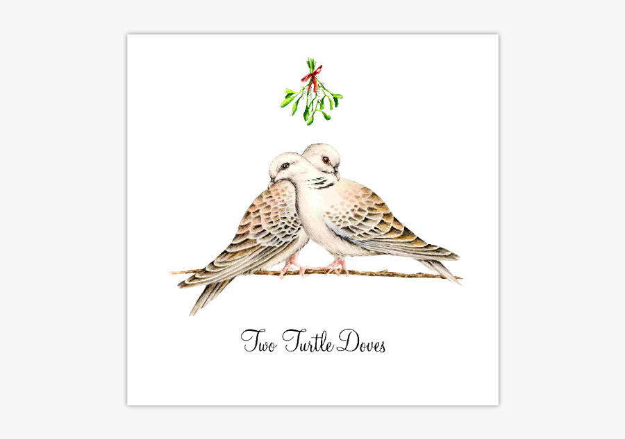 Turtle Doves 12 Days Of Christmas, Transparent Clipart