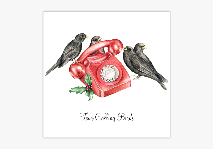 Old World Flycatcher, Transparent Clipart