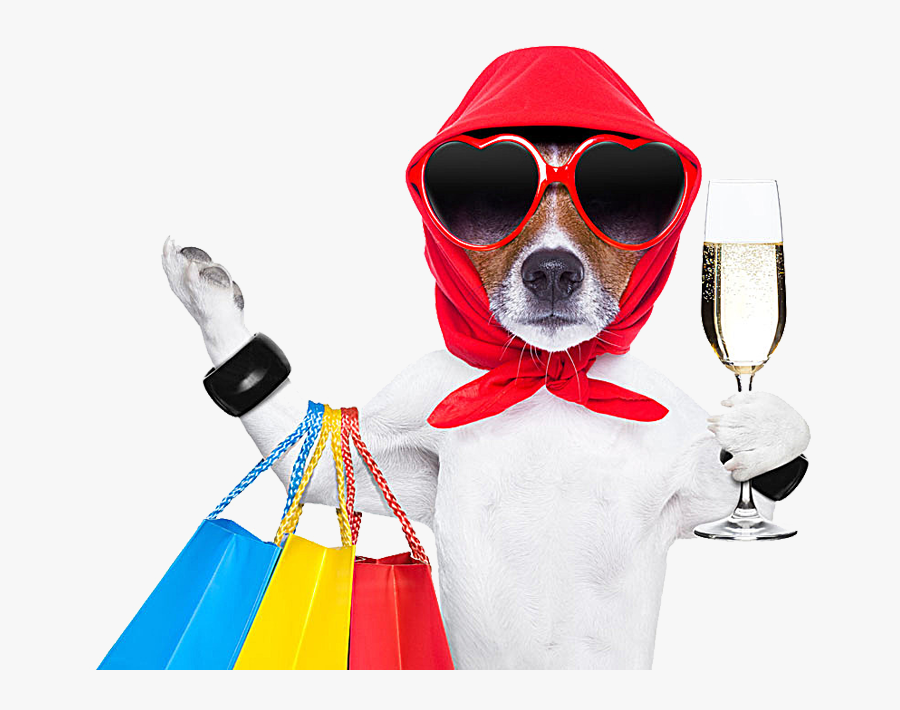Shop Shopping Pet Photography Dog Bag Stock Clipart - Stock Image Of A Diva, Transparent Clipart