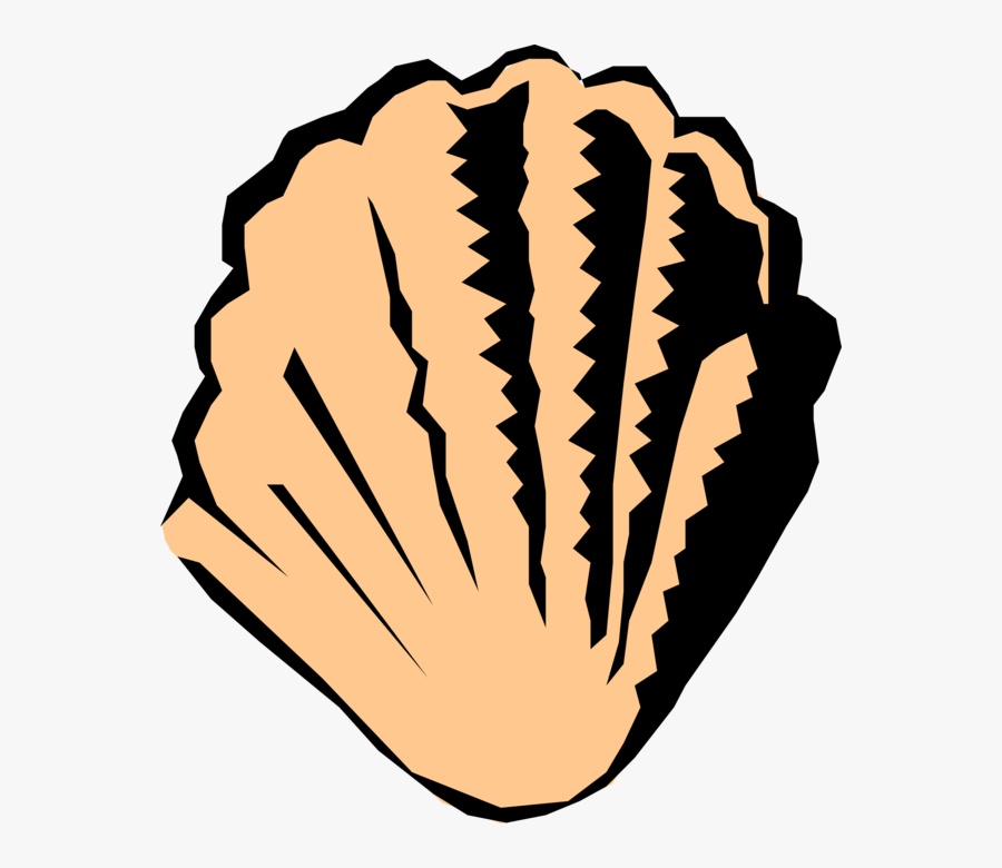 Vector Illustration Of Marine Scallop Shell Saltwater - Muschel, Transparent Clipart