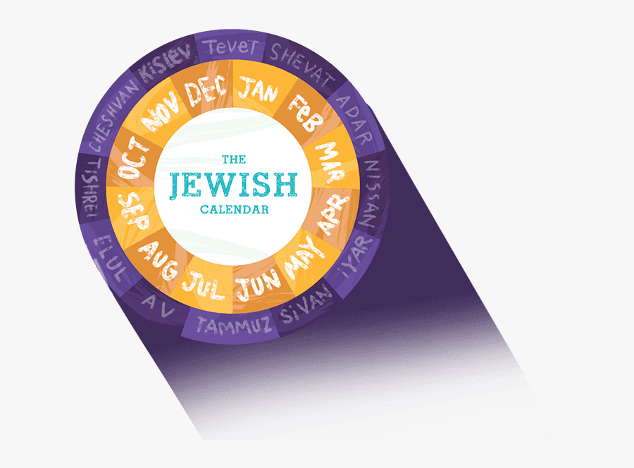 Circle, Transparent Clipart