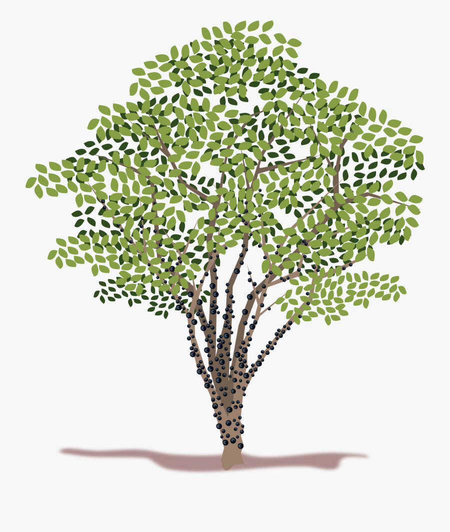 Spring Tree Vector Clipart - Transparent Background Clipart Tree Vector Png, Transparent Clipart