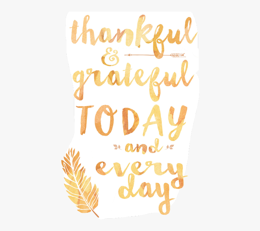 Thanksgiving Grateful Calligraphy Quotes Stuff, Transparent Clipart