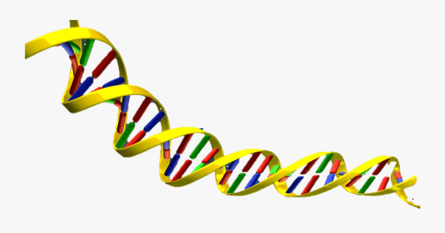 Clipart Dna - Clip Art Transparent Science, Transparent Clipart
