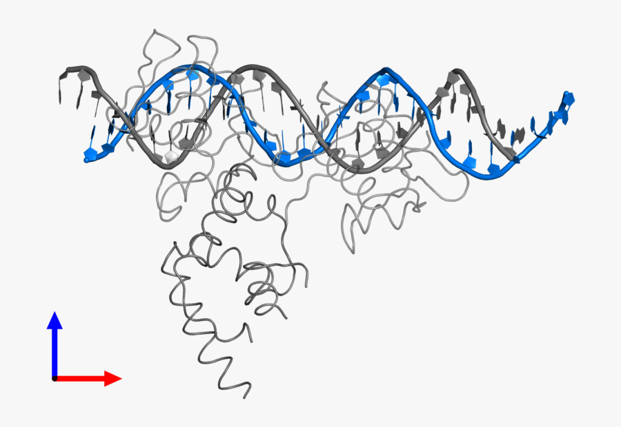 Drawing, Transparent Clipart