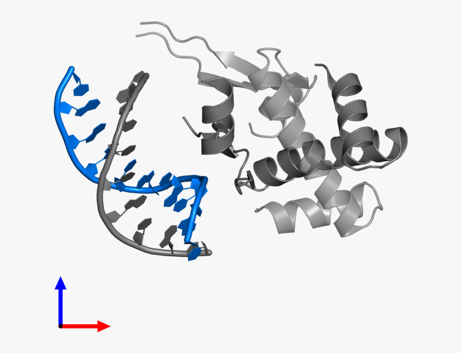 Calligraphy, Transparent Clipart