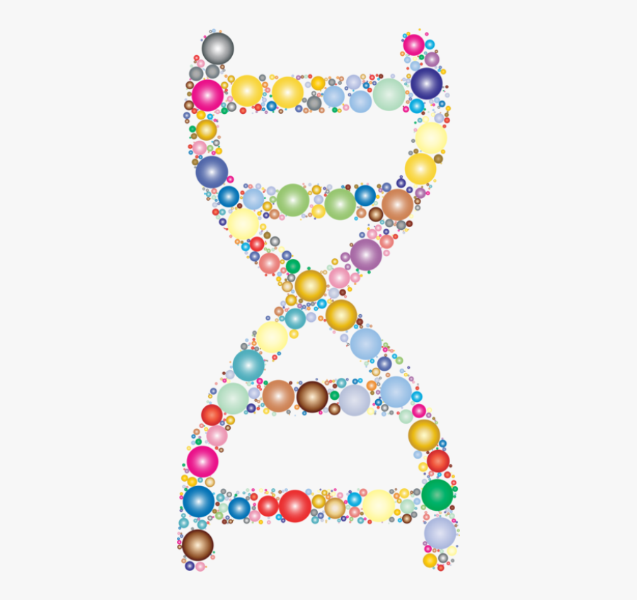Nucleic Acid Double Helix, Transparent Clipart