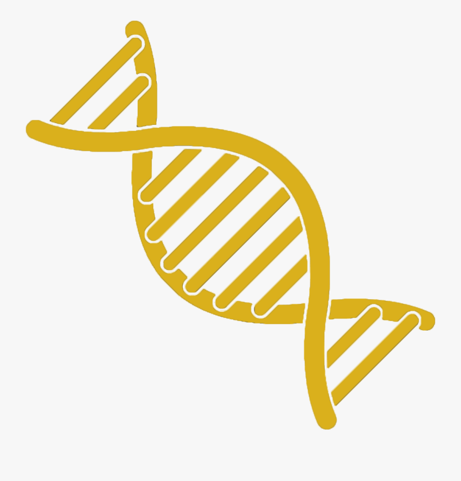 Transparent Dna Strand Clipart - Dna Clipart, Transparent Clipart