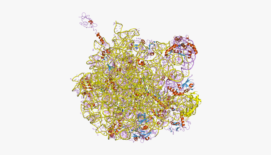 Pdb 2qoz Ebi - Unusual Png, Transparent Clipart