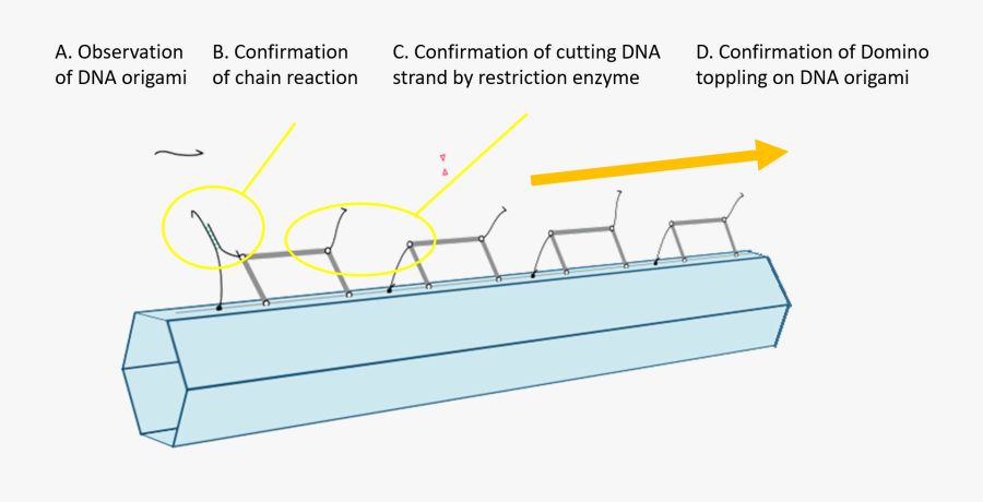 Diagram, Transparent Clipart