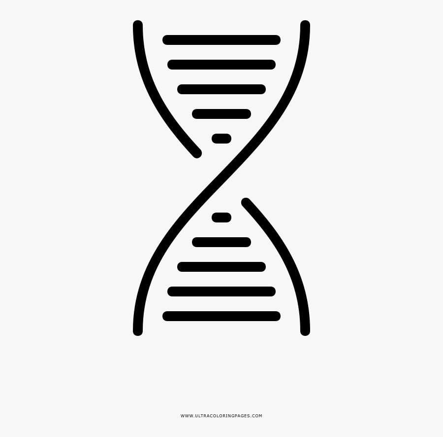 Dna Coloring Page - Its Genetic, Transparent Clipart