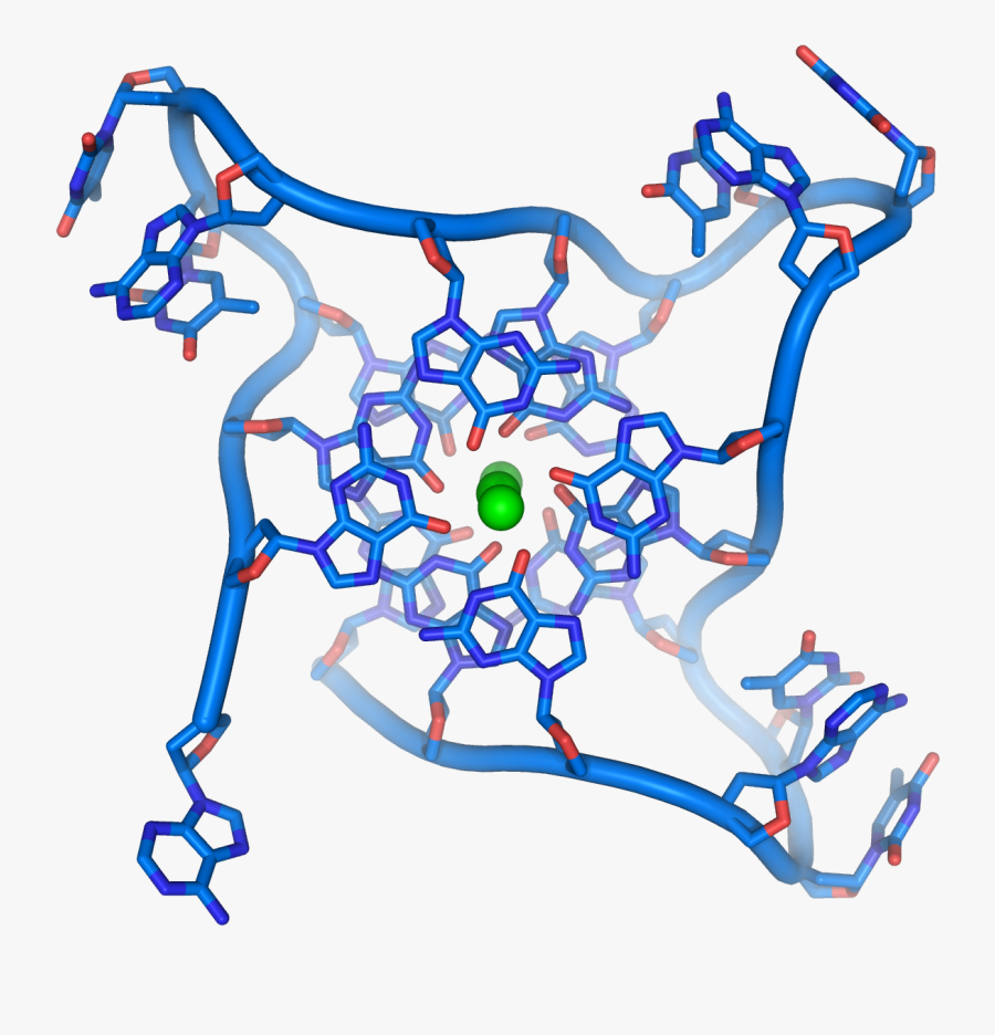 Eukaryotic Chromosome Structure Ppt, Transparent Clipart