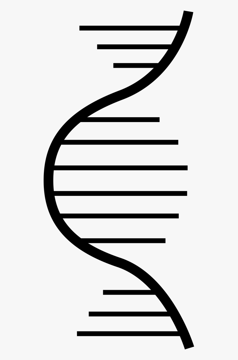 Dna Genetic Biology Free Picture - Dna Biology, Transparent Clipart