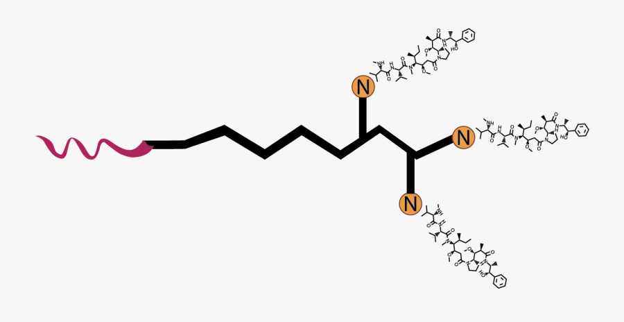 Oligo With Three Drug Molecules, Transparent Clipart