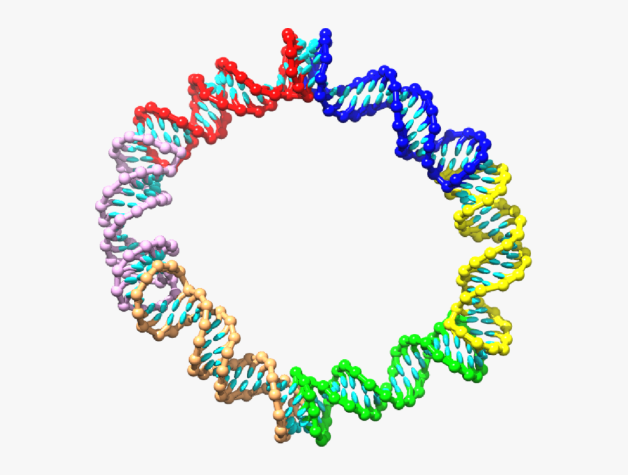 Circle, Transparent Clipart