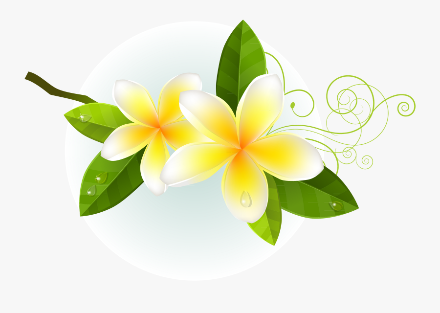 Quick Clipart Images Free Download - Flower Vines Vector Free Download, Transparent Clipart