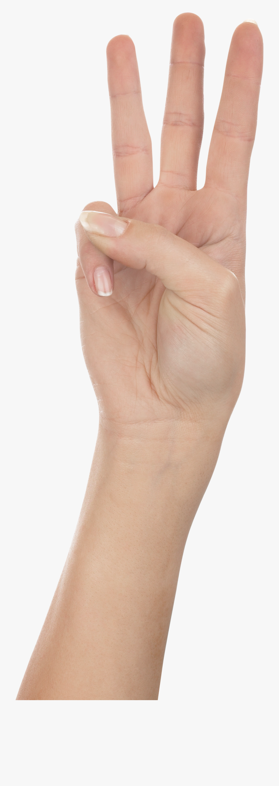 Hands Png Picture Web - Hand Holding Up 3 Fingers Png, Transparent Clipart