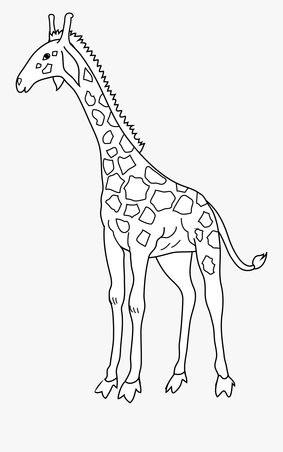 Coloring Page Free Clip - Giraffe, Transparent Clipart