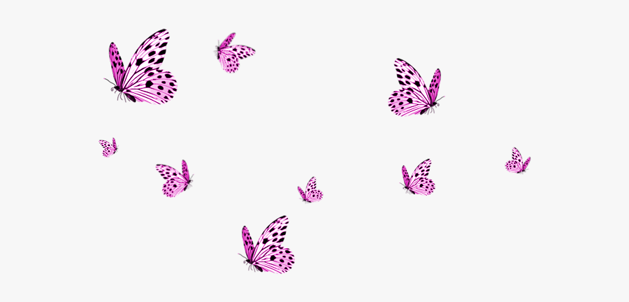Transparent Background Butterflies Png, Transparent Clipart