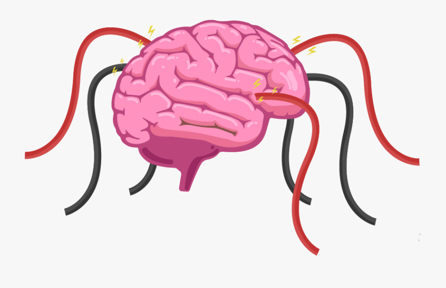 The Human Brain Is A Hive Of Electrical Activity With - Brain Colored And Labeled, Transparent Clipart
