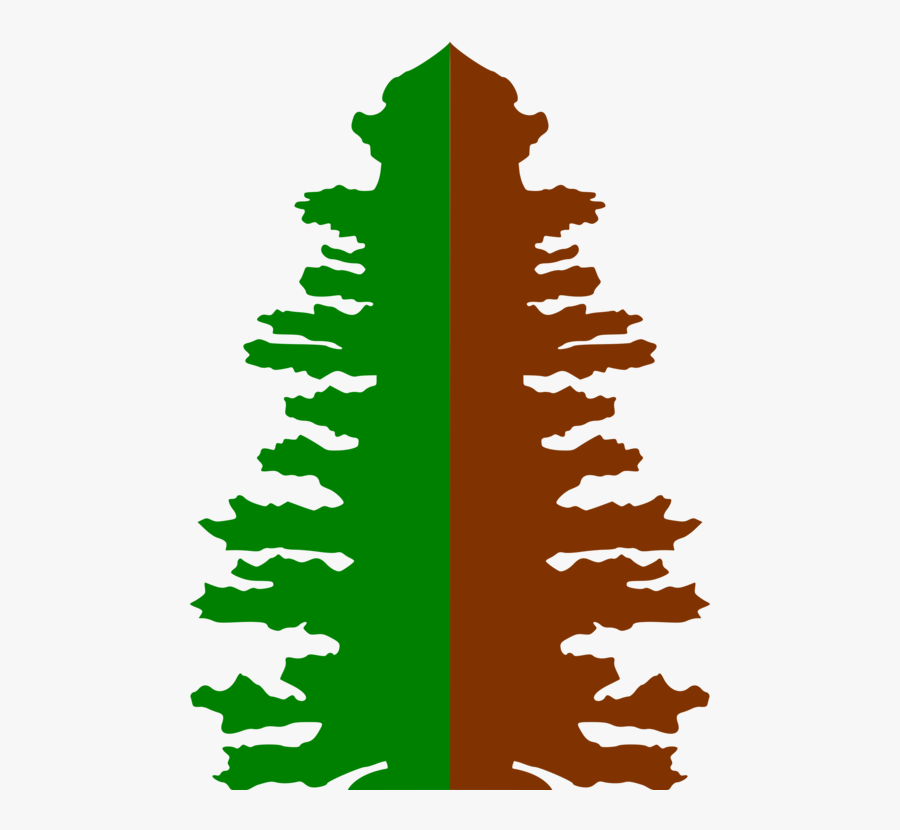Pine Family,colorado Spruce,leaf - Christmas Tree, Transparent Clipart