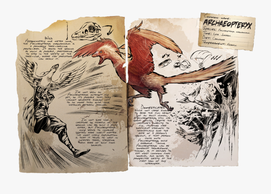 Clip Art Archaeopteryx Bird Pixark - Dino Dossier Archaeopteryx, Transparent Clipart