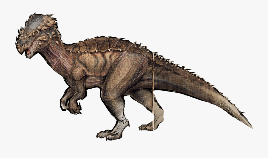 Clip Art Image Png Wikia Survival - Pachycephalosaurus Ark, Transparent Clipart