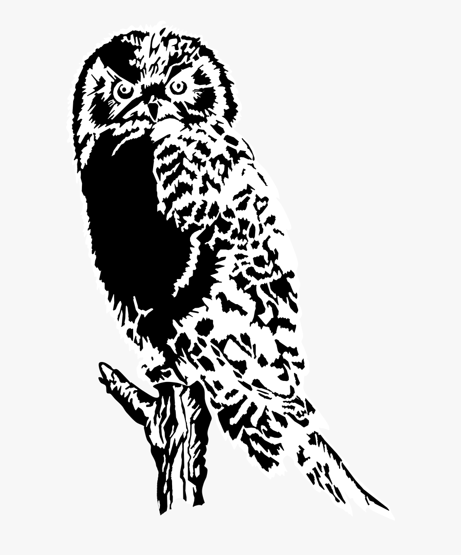 Owl Silhouette, Transparent Clipart